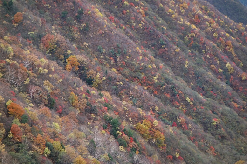 奥日光の紅葉　半月山第二駐車場にて　2