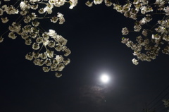 桜・月・Jupiter☆
