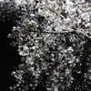 夜桜  スマホにて