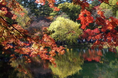 軽井沢雲場池の紅葉　2