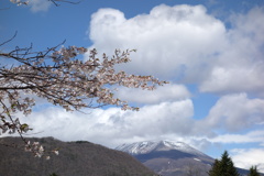浅間山と桜