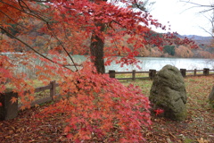 草木湖の紅葉　1
