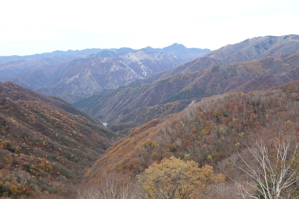 奥日光の紅葉　半月山第二駐車場にて