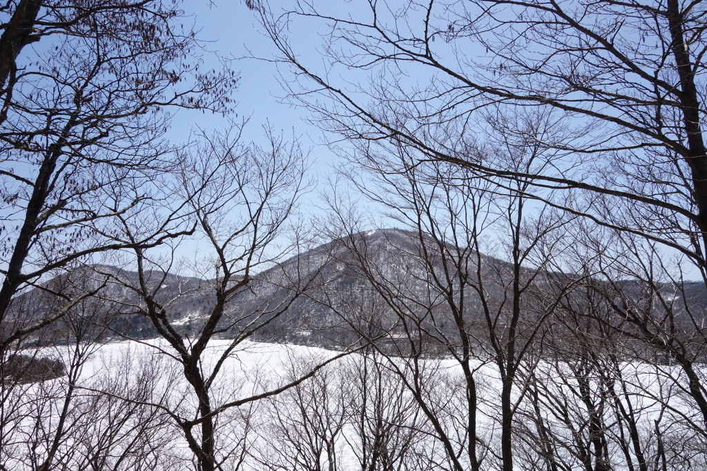 赤城山大沼は今　3