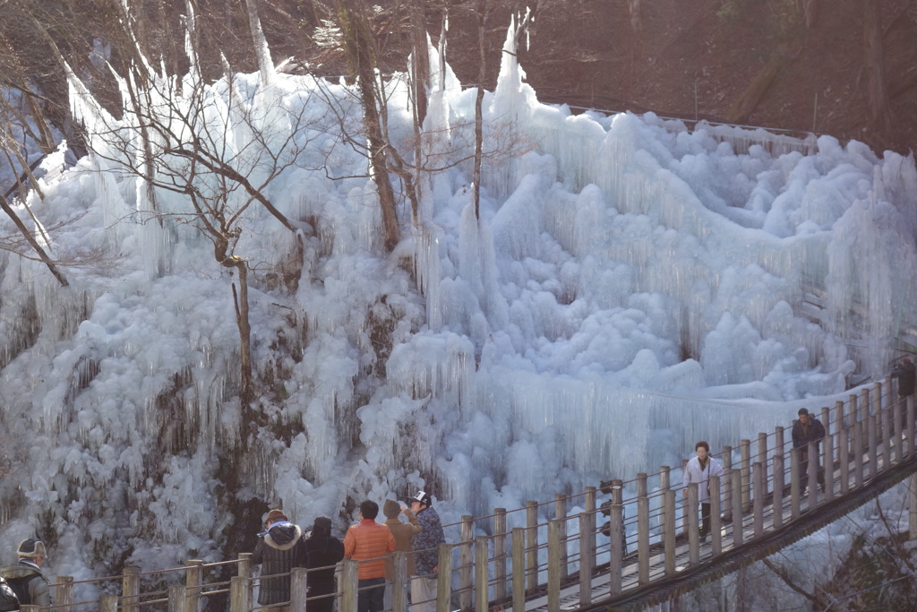 尾ノ内百景の氷柱　1