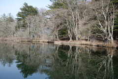 軽井沢　雲場池は今