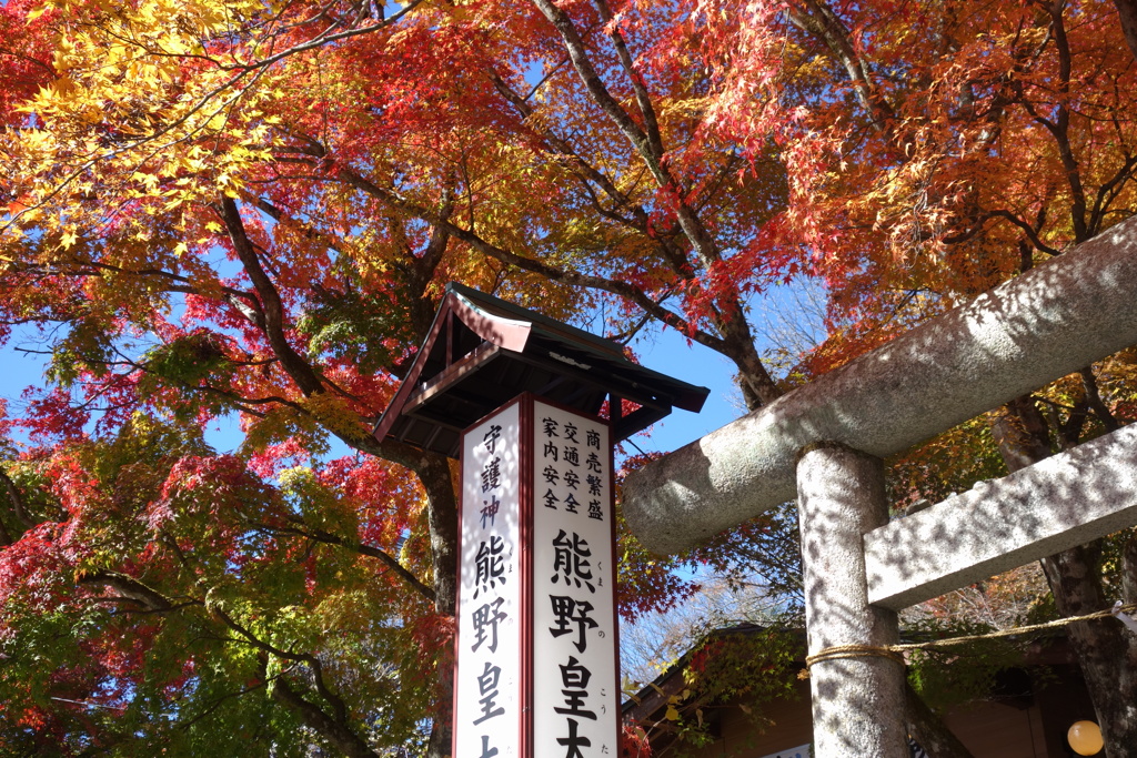 軽井沢熊野神社の紅葉