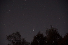 レモン彗星 1000年に一度の出逢い レモン彗星 1000年に一度の出逢い