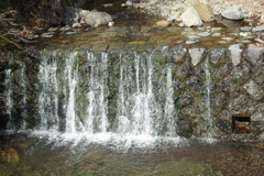 清流