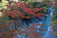 金蔵落しの渓流　1