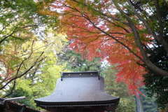 水澤観音にて　紅葉