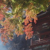 水沢観音の紅葉　六角堂にて