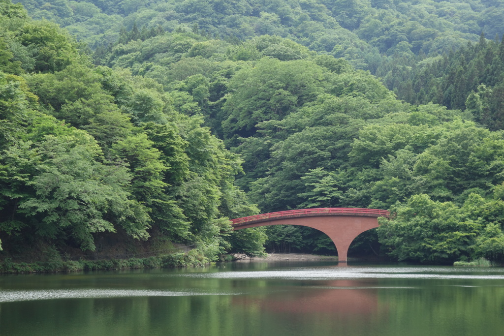碓氷湖は今