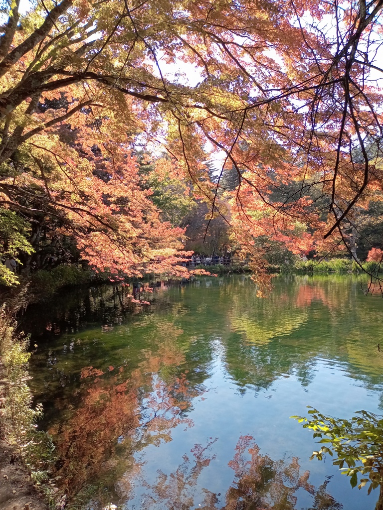 軽井沢　雲場池の秋色　3