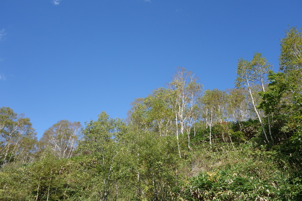 秋の空　野反湖にて