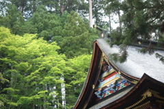三峰神社の緑　1