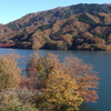 草木湖は今　3