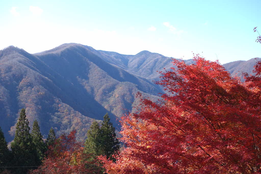 三峰神社で見つけた紅葉　2