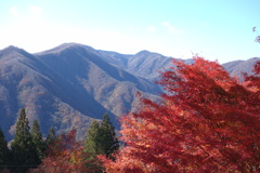 三峰神社で見つけた紅葉　2