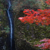 榛名神社　瓶子（みすず）の滝