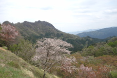 妙義山中之嶽駐車場にて