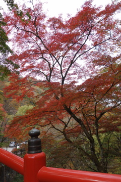 伊香保温泉　河鹿橋