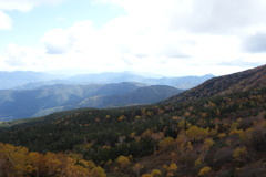 乗鞍の紅葉　3