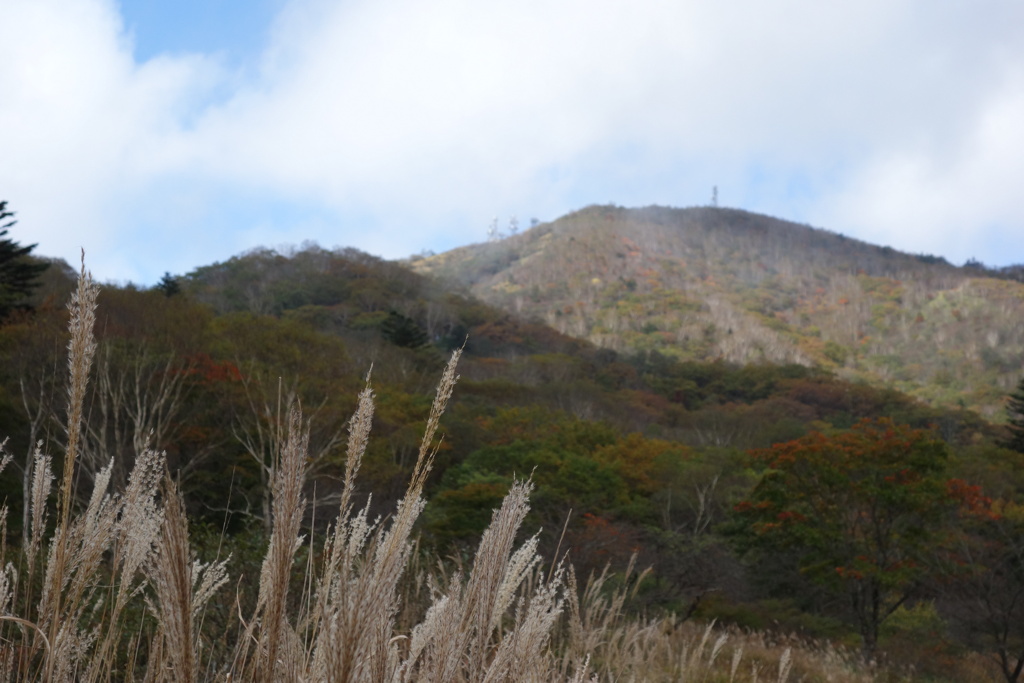 赤城山　覚満淵で見つけた秋　2