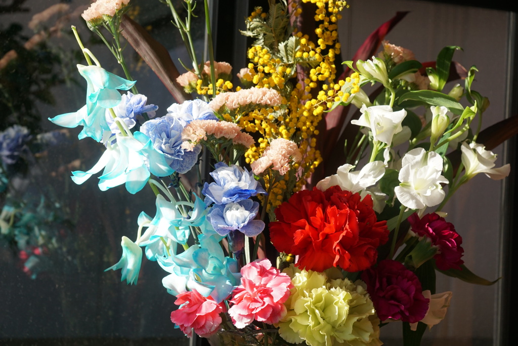 花の世界　1