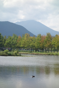 矢ケ崎公園　初秋