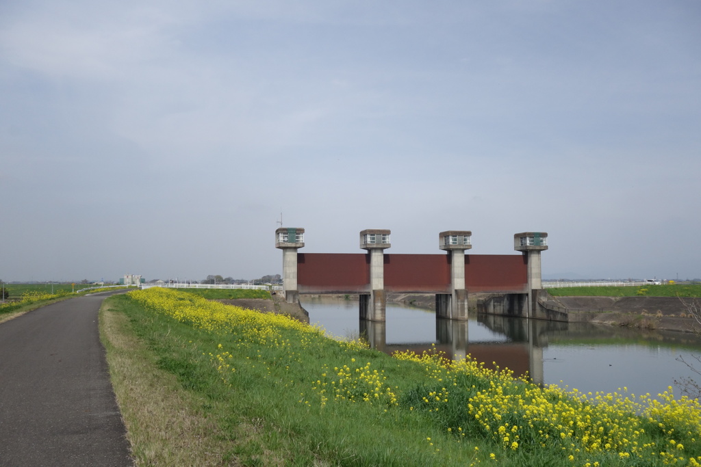 福川水門　利根川CRにて