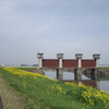 福川水門　利根川CRにて