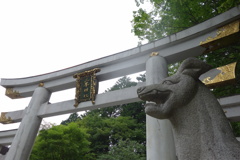 三峰神社　狼