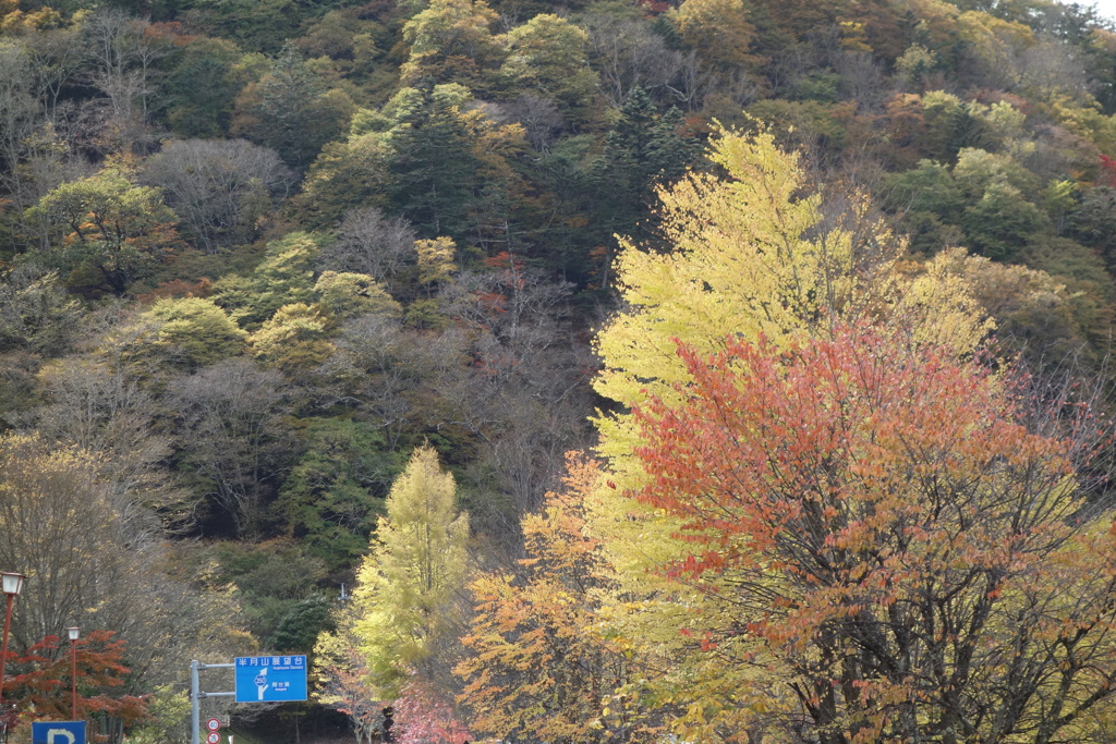 日光　半月山へ