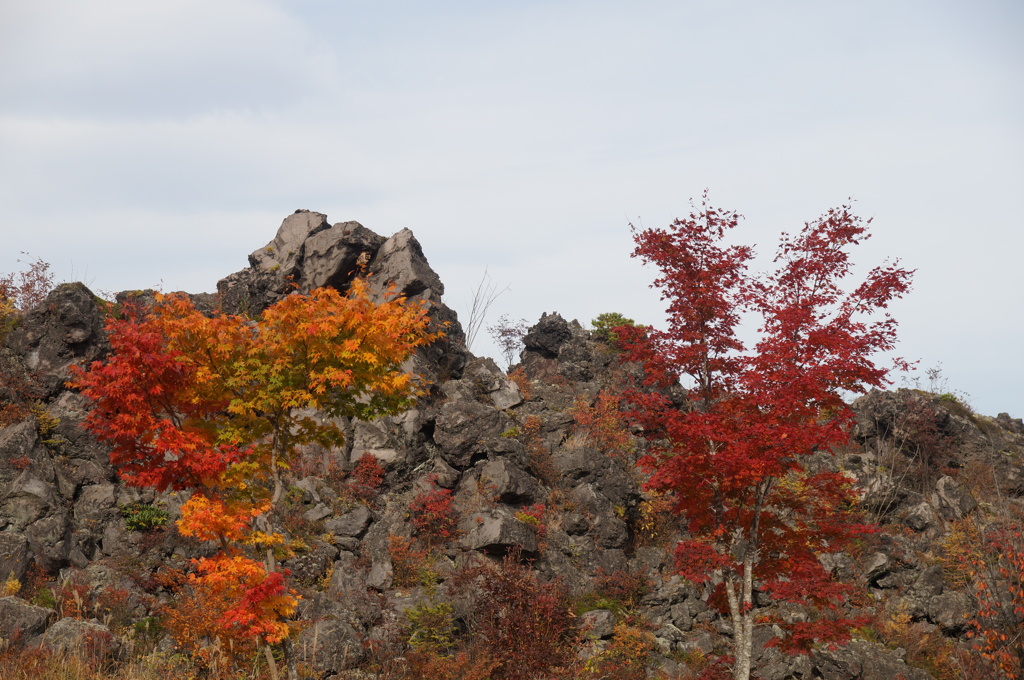 鬼押し出しの紅葉
