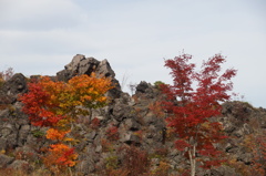 鬼押し出しの紅葉
