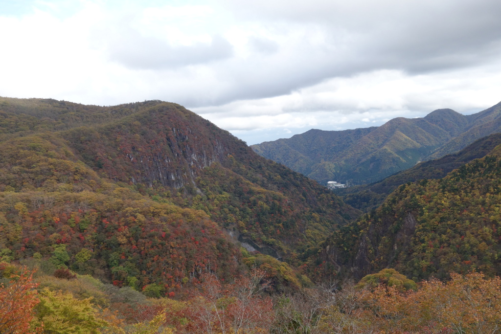 日光　いろは坂にて