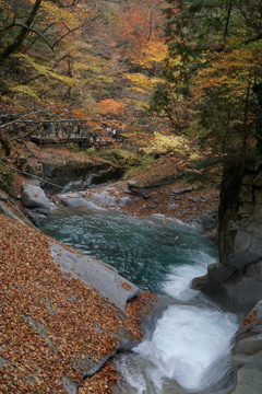 西沢渓谷　三重の滝　3