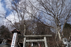軽井沢　熊野神社へ