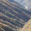 奥日光の紅葉　2