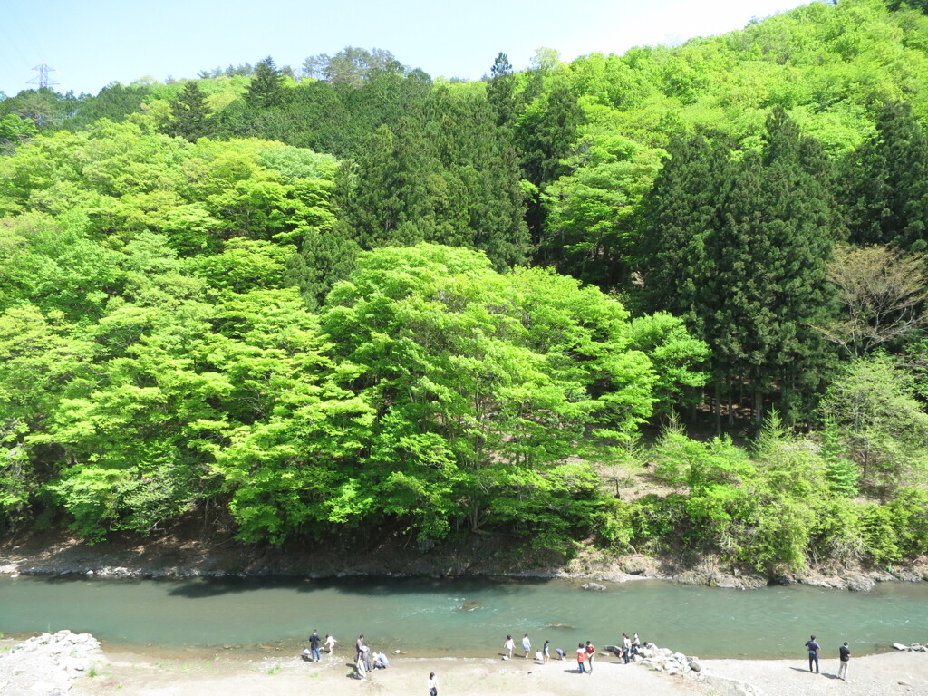 新緑　１　道の駅上野村にて