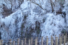 尾ノ内渓谷の氷柱　4