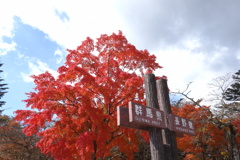 県境の紅葉　見晴台にて