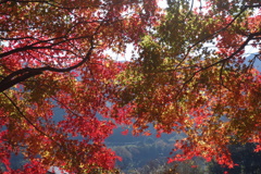 山里の景色　紅葉