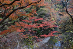 山間の紅葉　金蔵落しの渓流