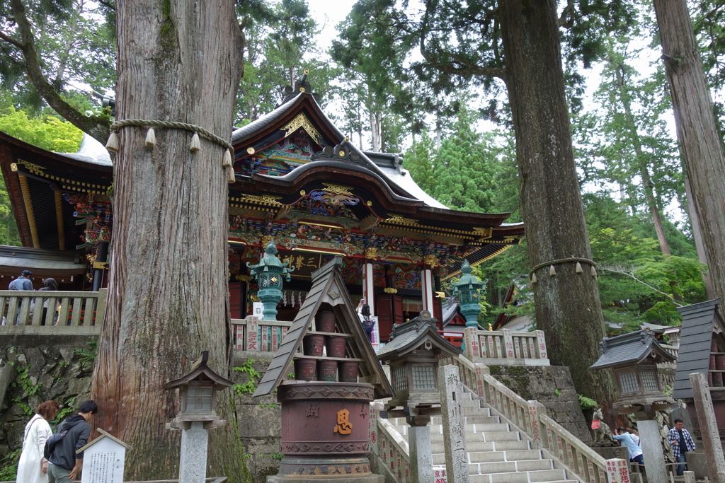 三峰神社　御神木
