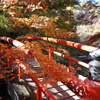 伊香保の紅葉　河鹿橋にて　2