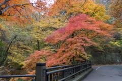 伊香保温泉街　河鹿橋周辺