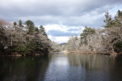 雲場池は今