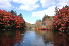 雲場池の秋